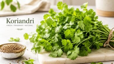 Koriandri