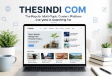Thesindi Com