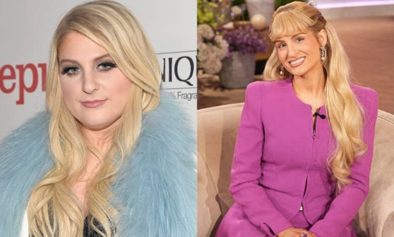 Meghan Trainor Before and After