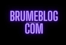 brumeblog com