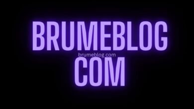 brumeblog com